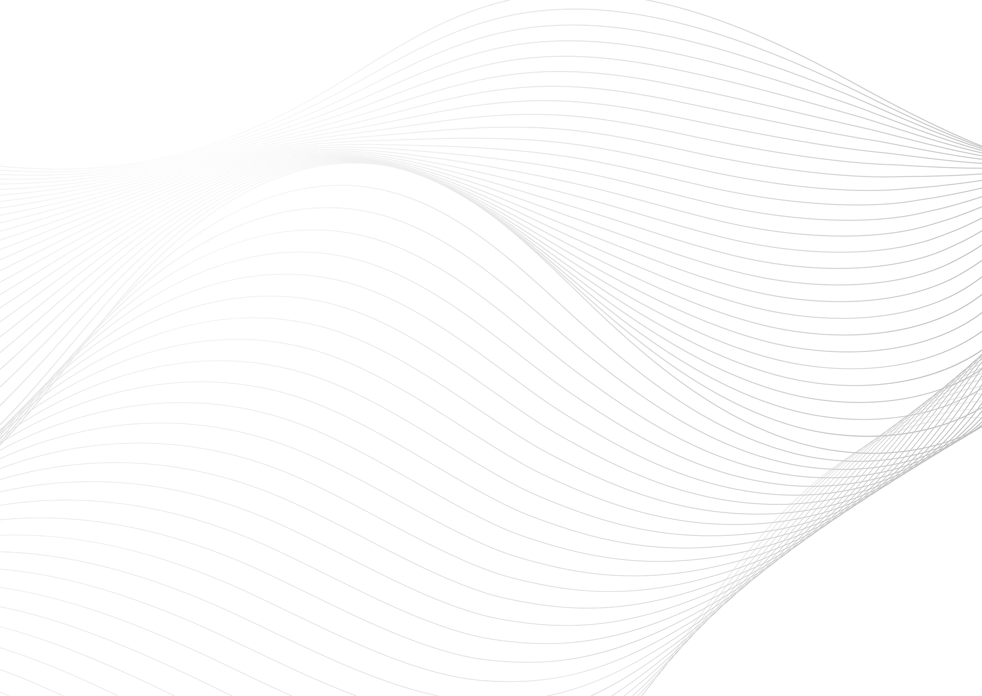 Web Site Tasarımcısı, Güney